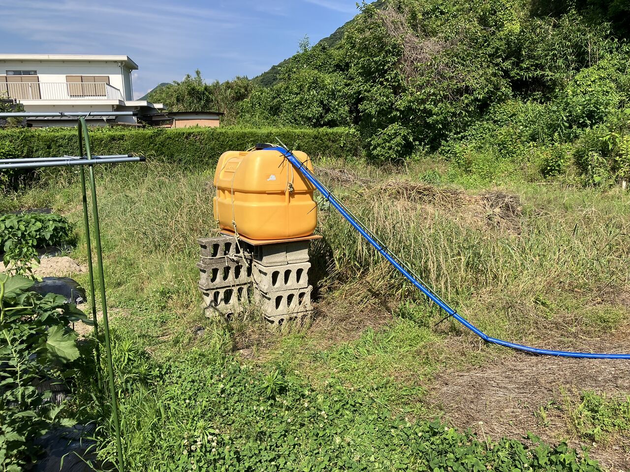 貯水タンク設置、トマト雨除け : 向島ポンポコ日記