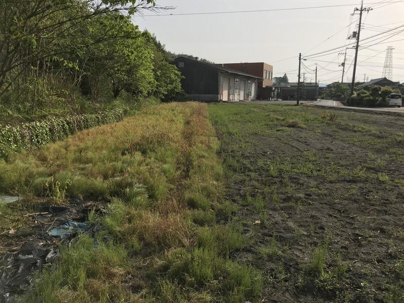 画像を等倍で表示します 画像