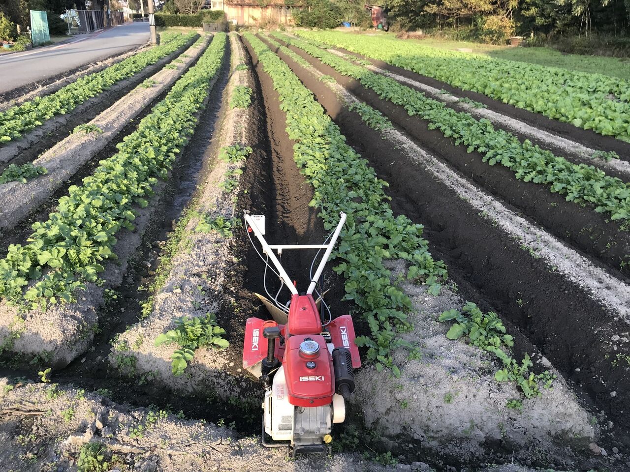 イセキ一輪管理機(SX60)故障、修理 : 向島ポンポコ日記 イセキ一輪管理機(SX60)故障、修理 : 向島ポンポコ日記