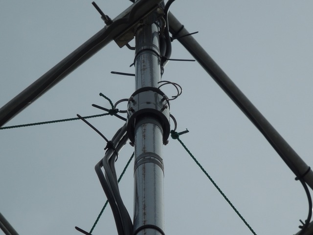 DSCN8504