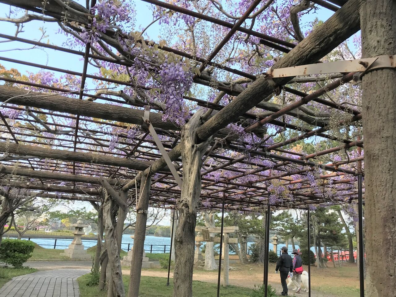 ときわ動物園に行ってきました : 向島ポンポコ日記