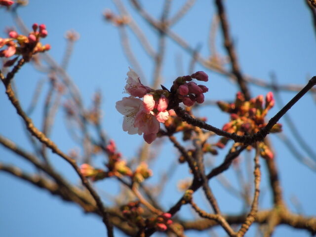 DSCN7875.JPG