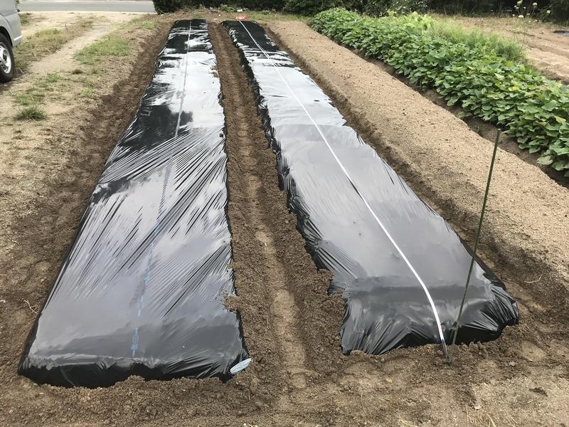 マルチ穴開け器 向島ポンポコ日記