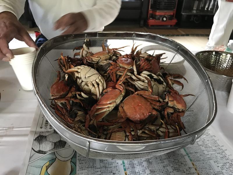 画像を等倍で表示します 画像