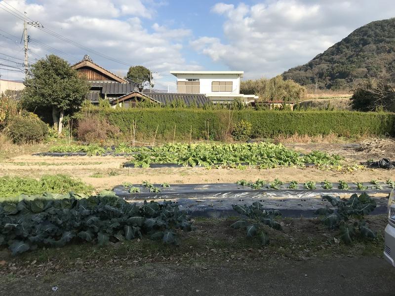 画像を等倍で表示します 画像