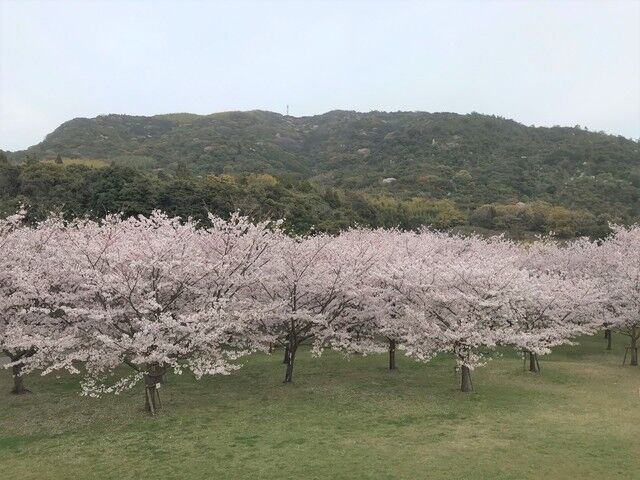 IMG_6550.JPEG
