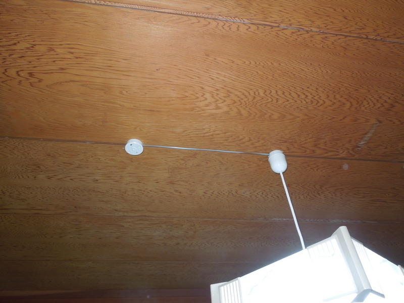 画像を等倍で表示します 画像