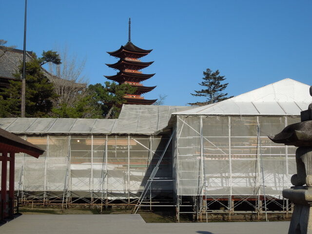 DSCN8281.JPG