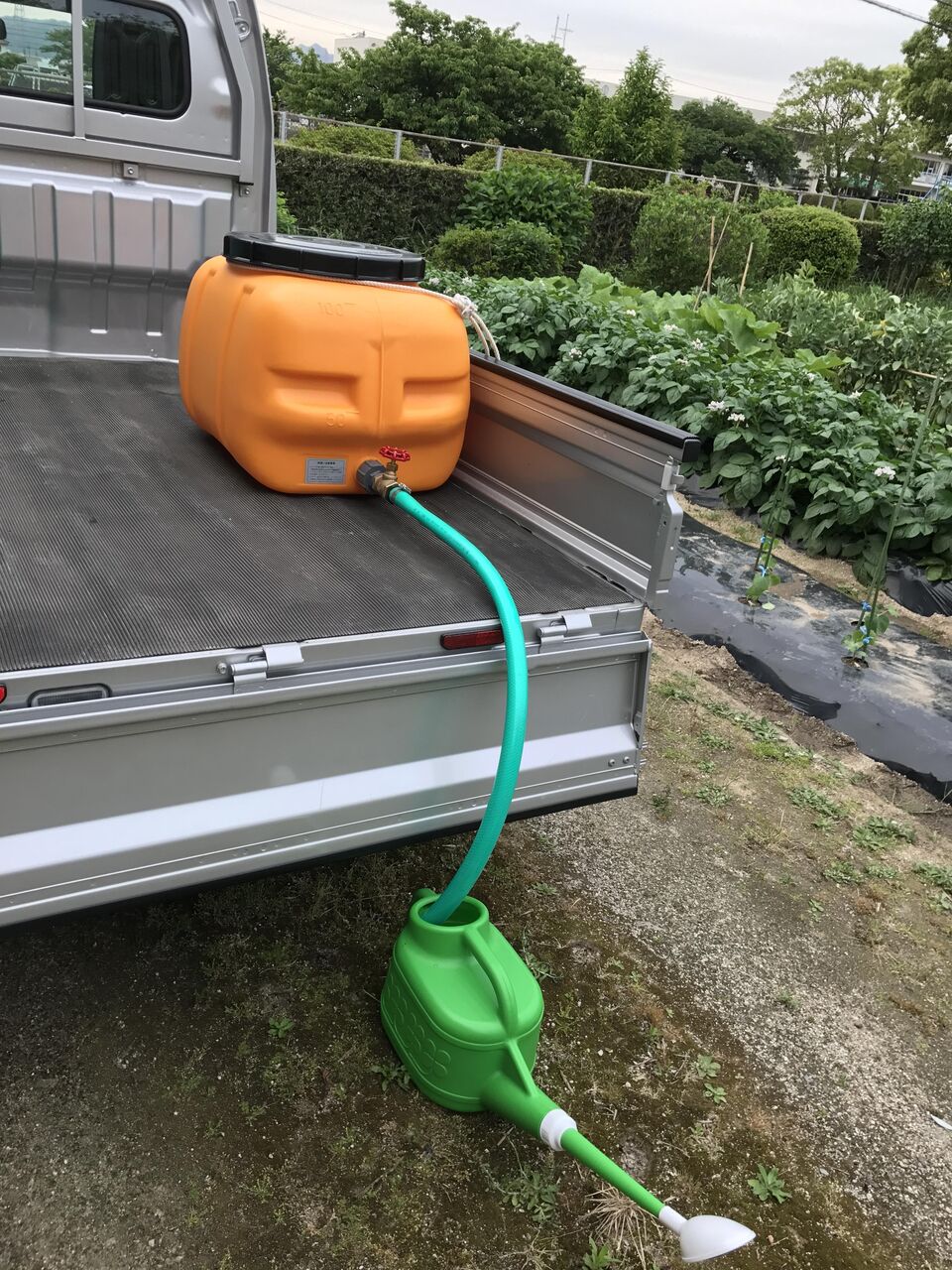 画像を等倍で表示します 画像