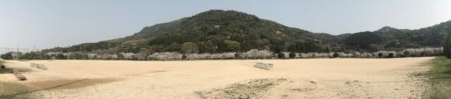 IMG_6527.jpg