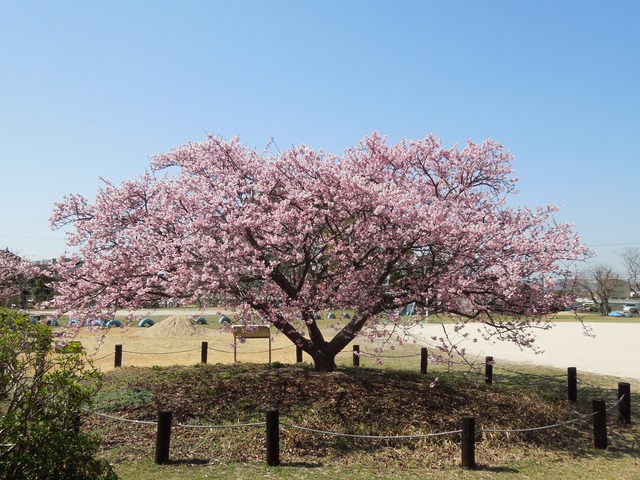 DSCN8474