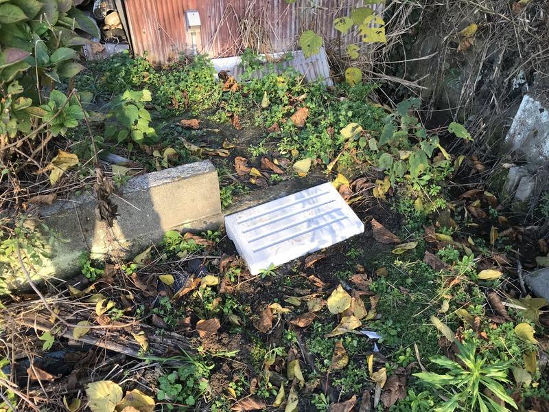 画像を等倍で表示します 画像