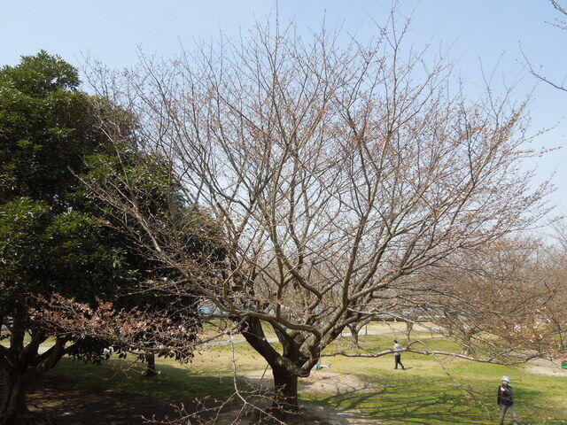 DSCN8192.JPG