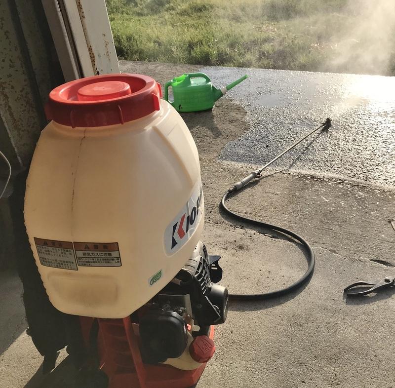 画像を等倍で表示します 画像