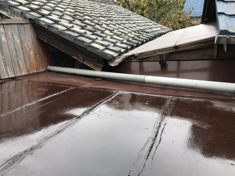 画像を等倍で表示します 画像