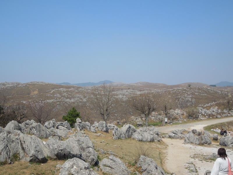 画像を等倍で表示します 画像