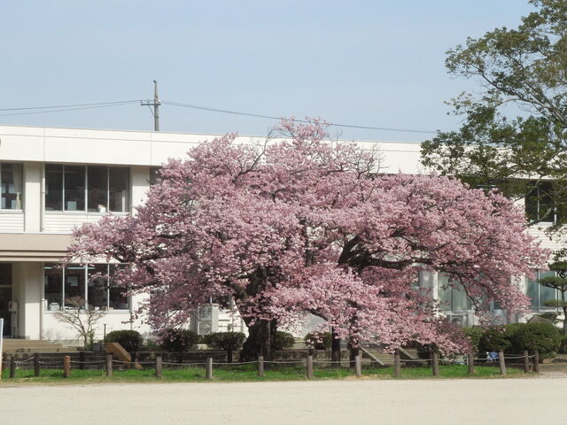 DSCN8129.JPG