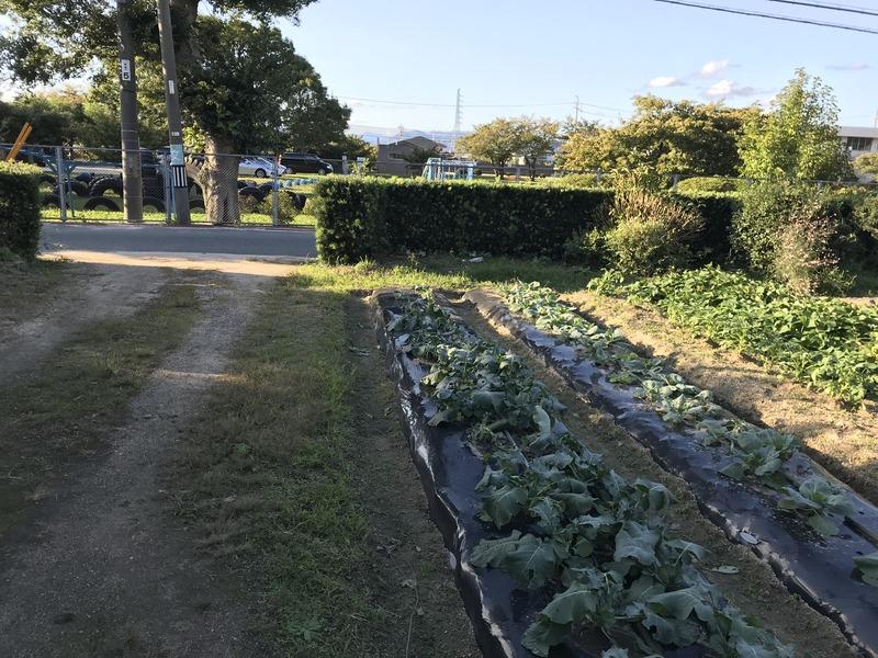 画像を等倍で表示します 画像