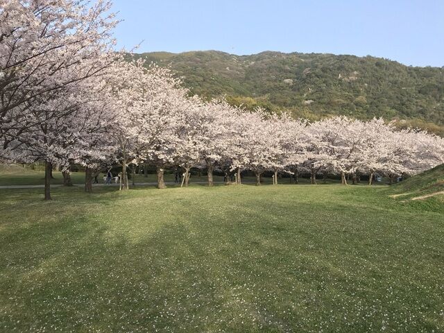 IMG_6536.JPEG