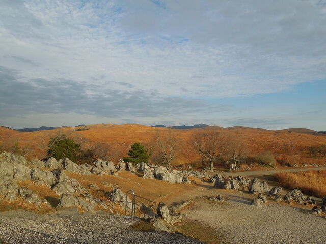 DSCN8296.JPG