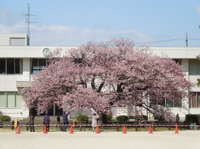 DSCN0988