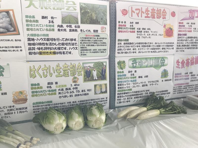 画像を等倍で表示します 画像