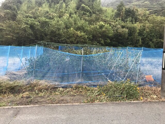 IMG_4043.JPEG
