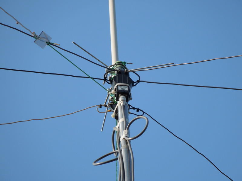 ダイポールアンテナ トワイライトダイポールアンテナ TWE-AN-P2010-050: 通信・無線