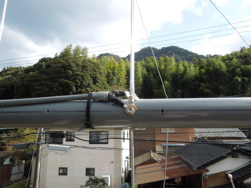 画像を等倍で表示します 画像