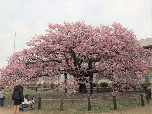 IMG_2086.JPEG