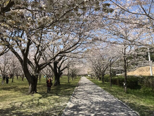 IMG_2420.JPEG