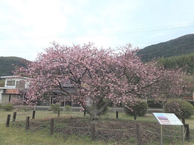 IMG_1997.JPEG