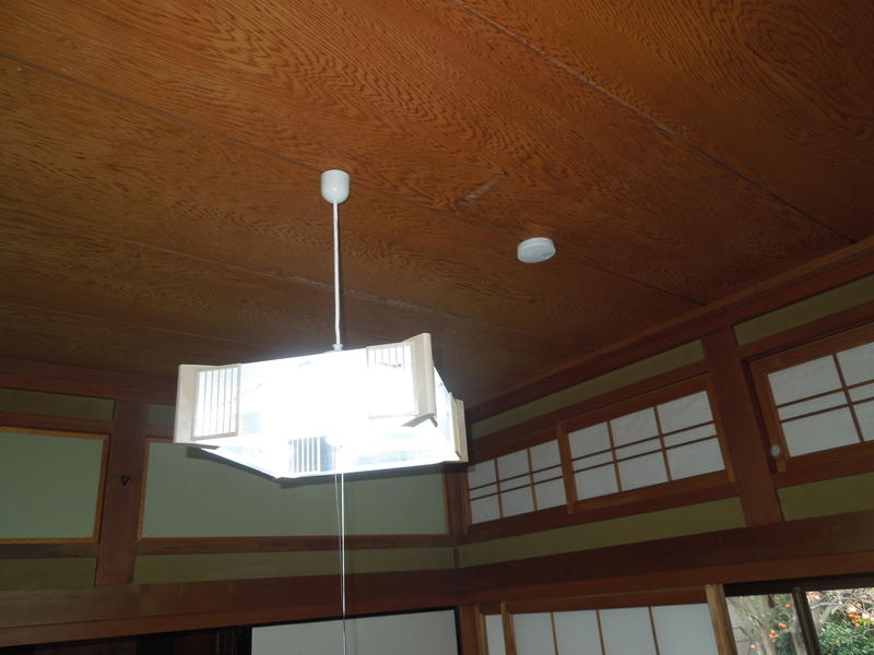 画像を等倍で表示します 画像