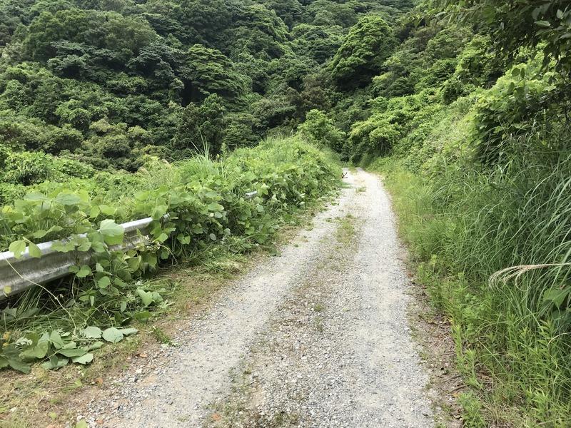 画像を等倍で表示します 画像