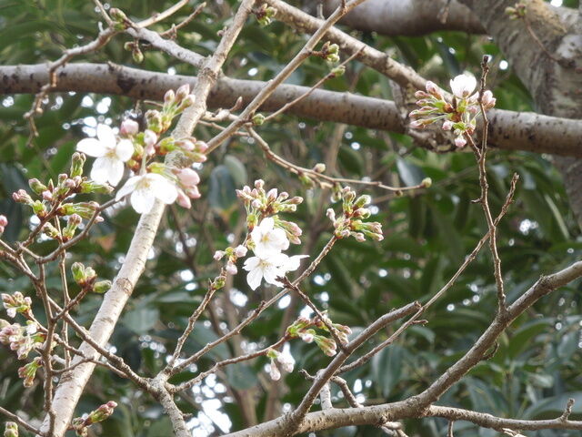 DSCN8164.JPG