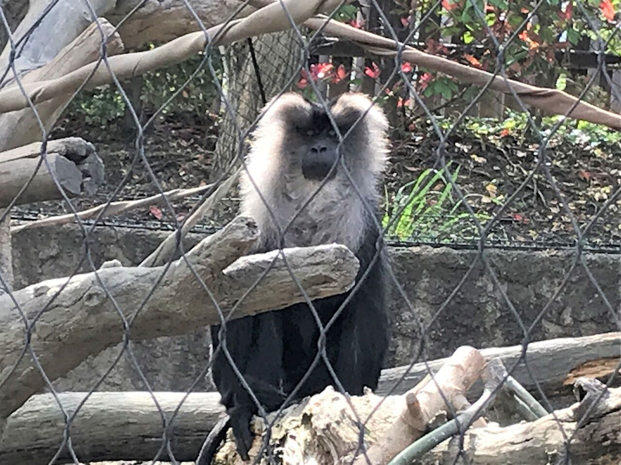 ときわ動物園に行ってきました 向島ポンポコ日記