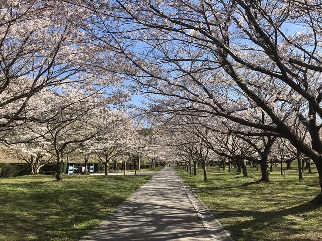 IMG_2444.JPEG