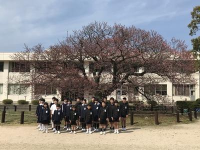 画像を等倍で表示します 画像