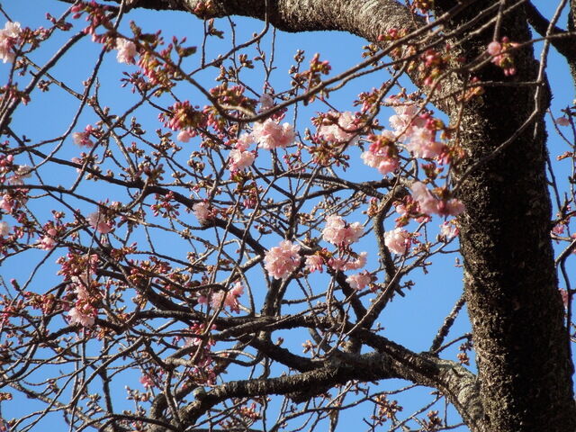 DSCN7882.JPG