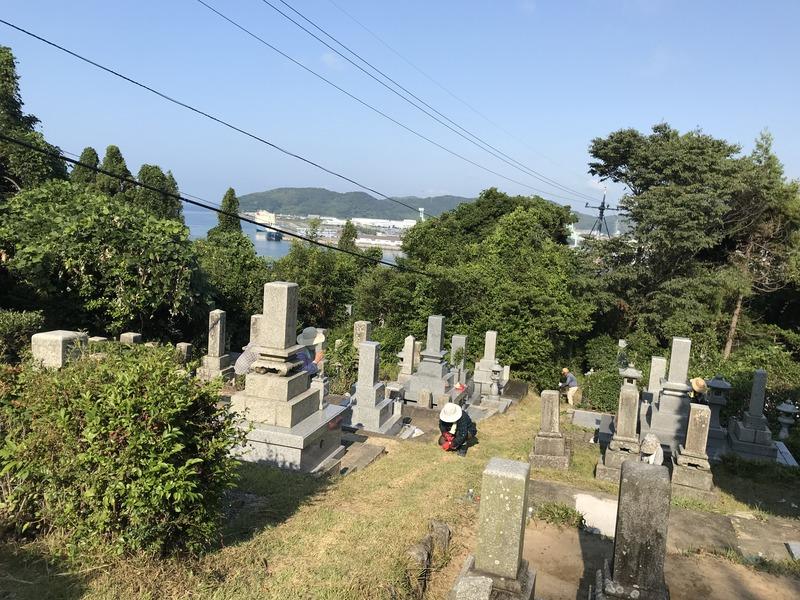 画像を等倍で表示します 画像