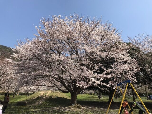 IMG_2423.JPEG