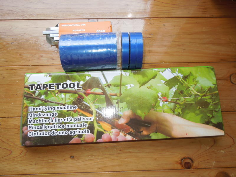 画像を等倍で表示します 画像