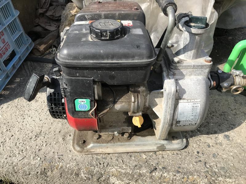 画像を等倍で表示します 画像