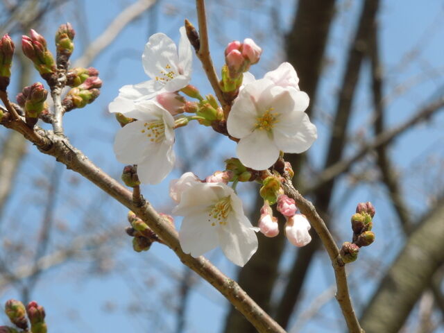 DSCN8194.JPG