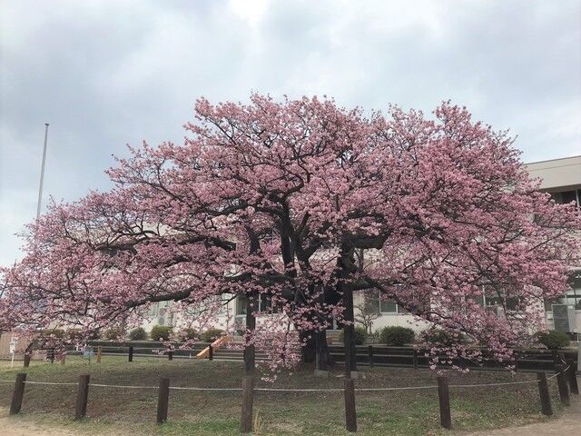 IMG_1995.JPEG