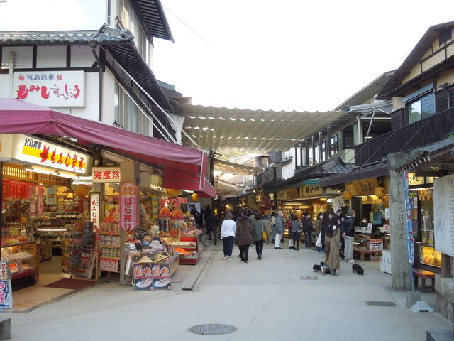DSCN8293.JPG