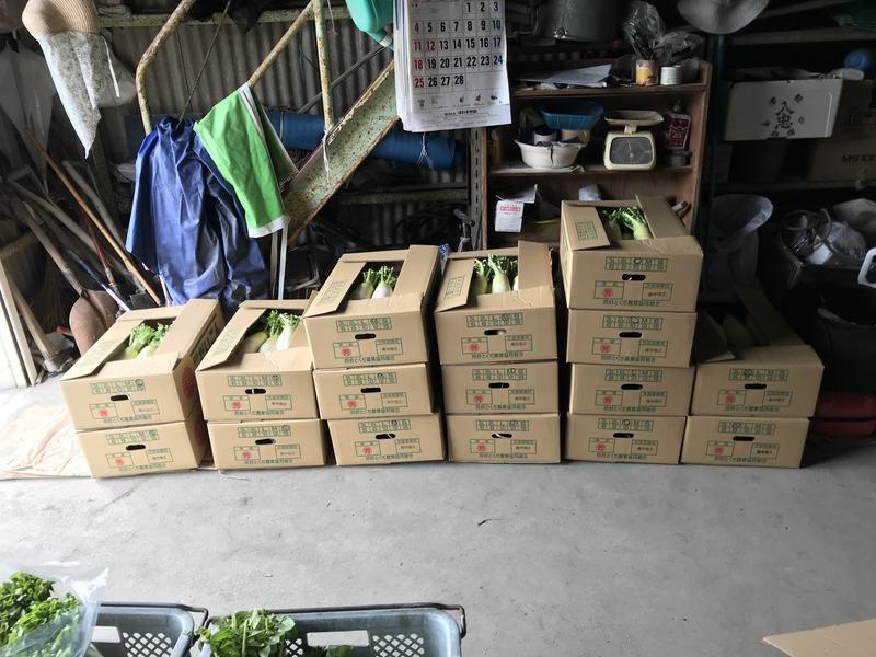 画像を等倍で表示します 画像