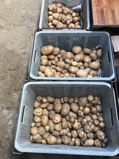 画像を等倍で表示します 画像