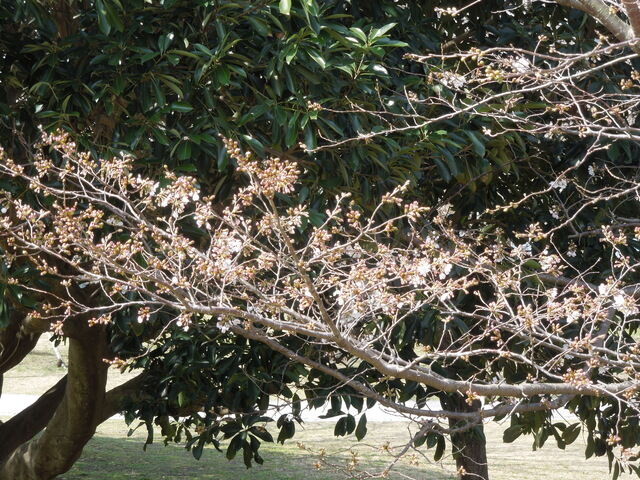 DSCN8193.JPG
