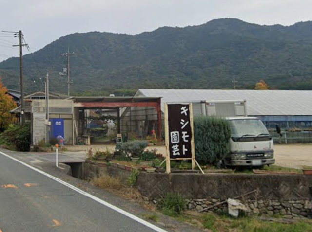 Kisimoto